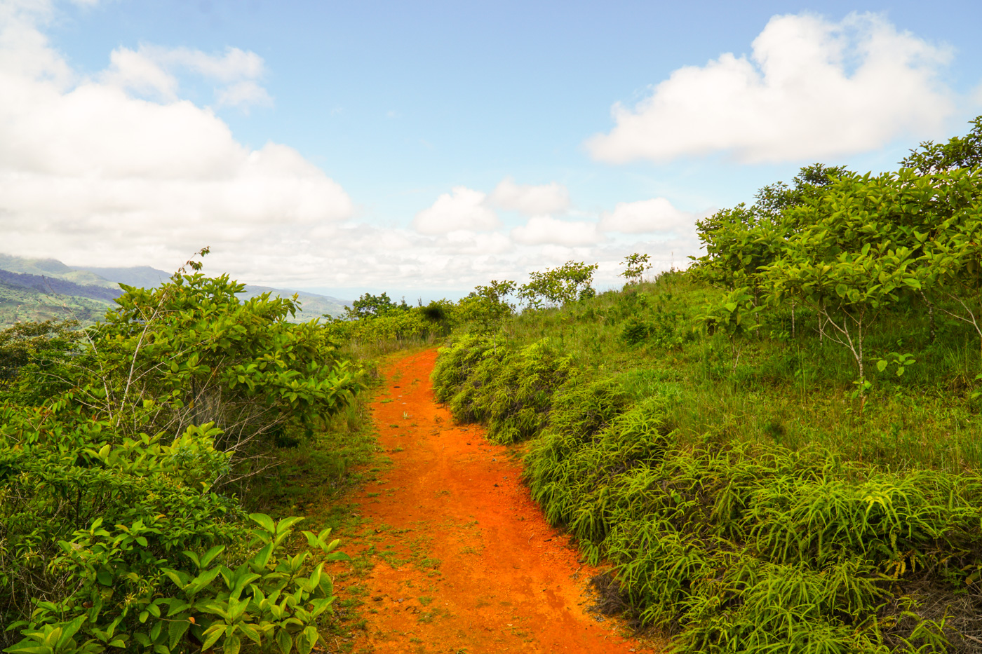 0 bed Land For Sale in Perez Zeledon, San Jose - thumb 17