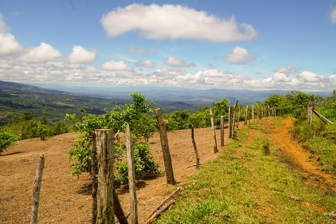 0 bed Land For Sale in Perez Zeledon, San Jose - thumb 20