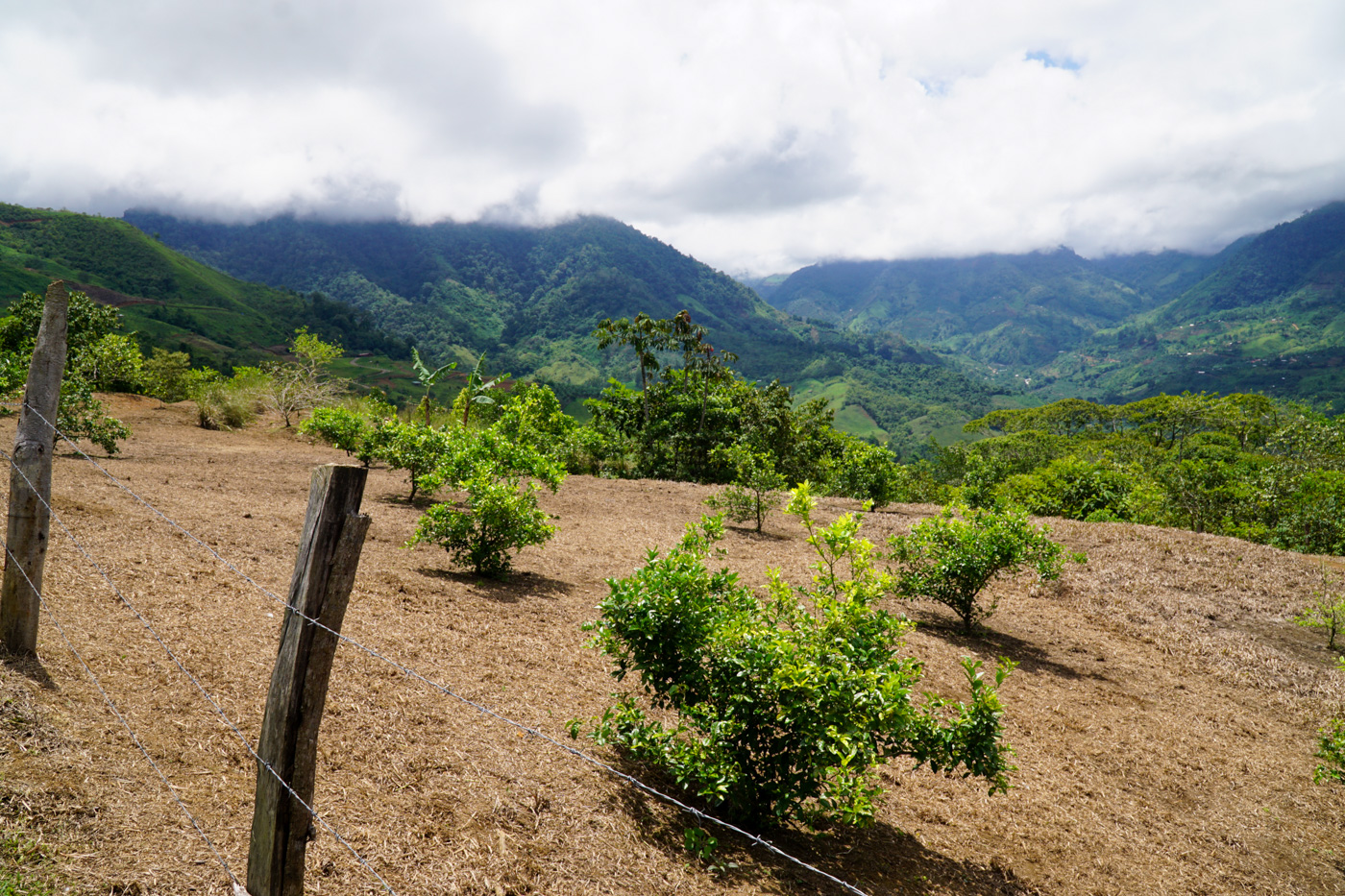 0 bed Land For Sale in Perez Zeledon, San Jose - thumb 21