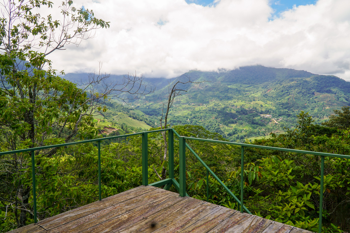 0 bed Land For Sale in Perez Zeledon, San Jose - thumb 8