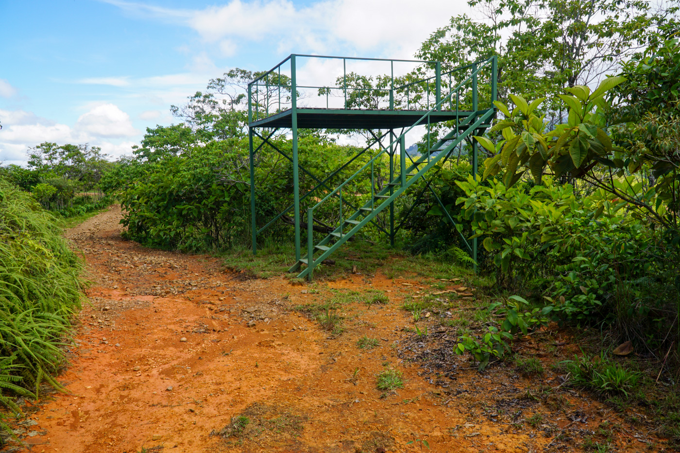 0 bed Land For Sale in Perez Zeledon, San Jose - thumb 22