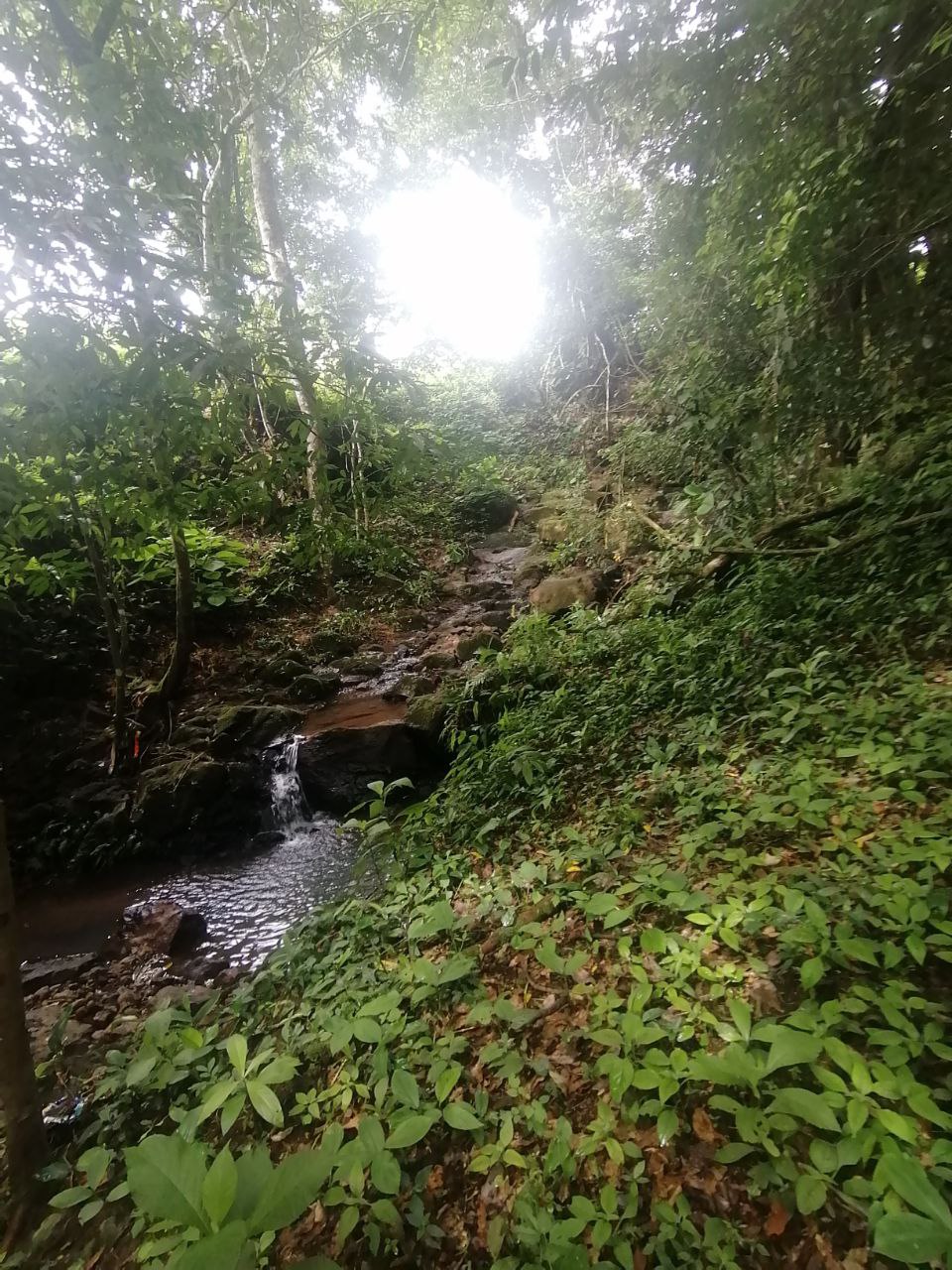 0 bed Land For Sale in Atenas, Alajuela - thumb 9