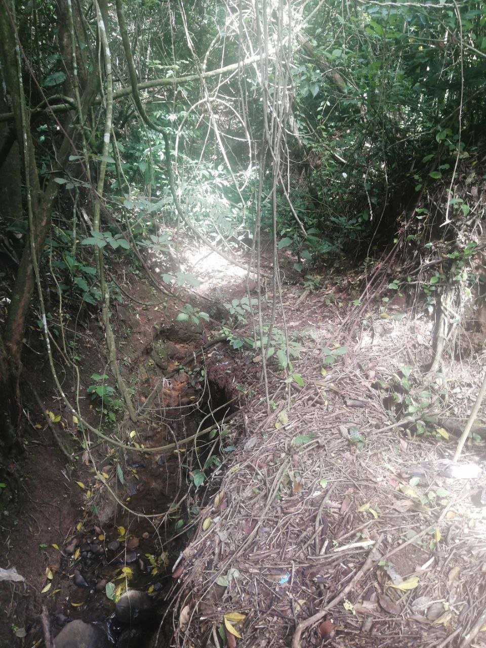 0 bed Land For Sale in Atenas, Alajuela - thumb 21