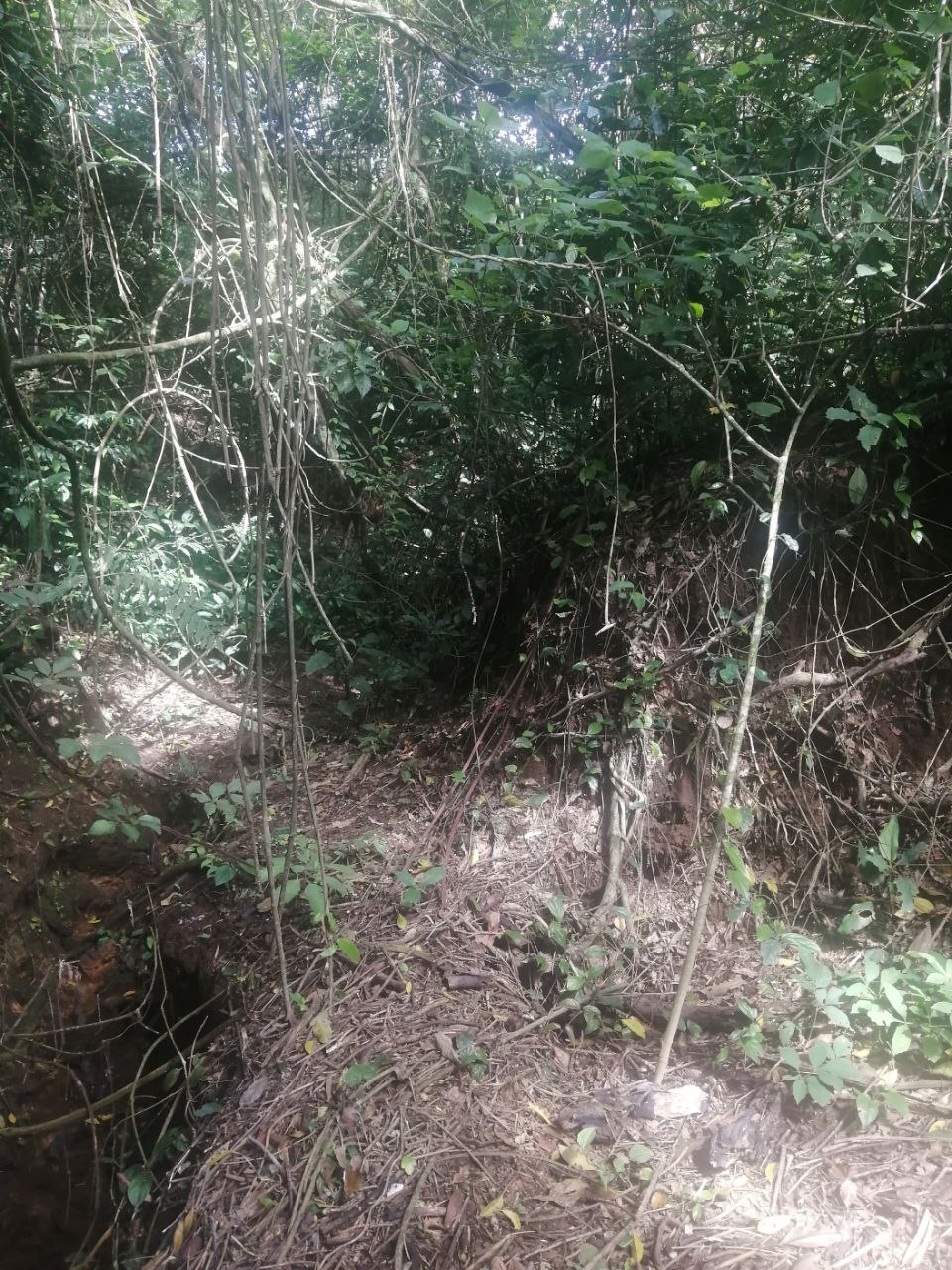 0 bed Land For Sale in Atenas, Alajuela - thumb 20