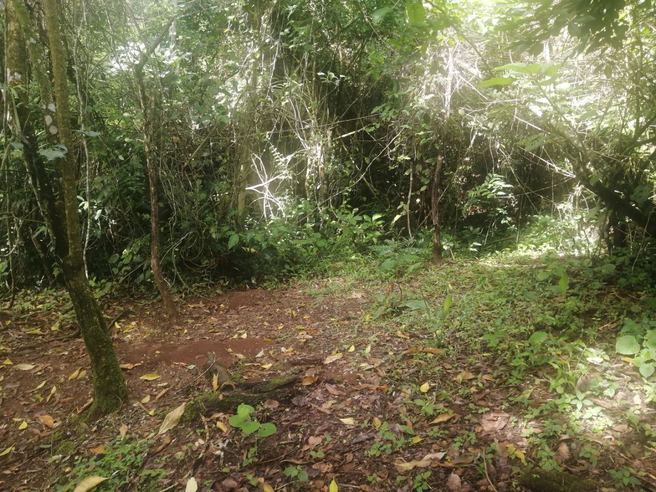 0 bed Land For Sale in Atenas, Alajuela - thumb 22