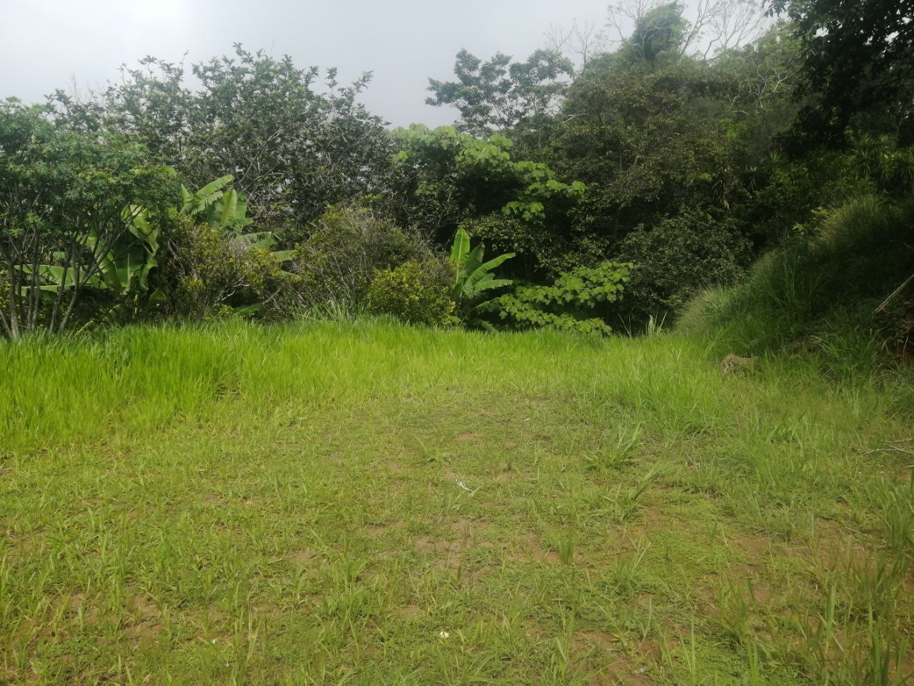 0 bed Land For Sale in Atenas, Alajuela - thumb 5