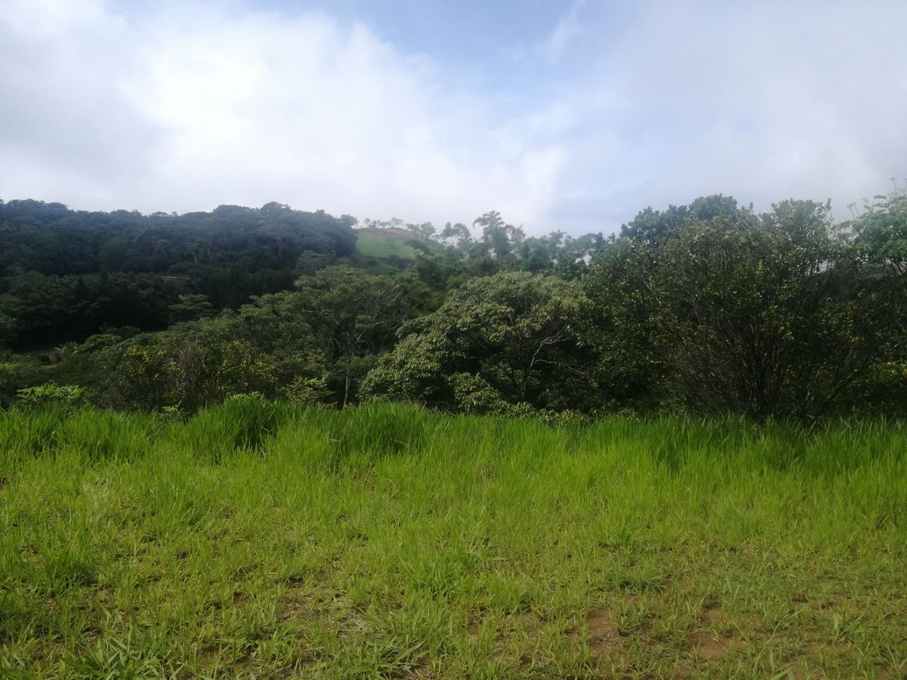 0 bed Land For Sale in Atenas, Alajuela - thumb 6