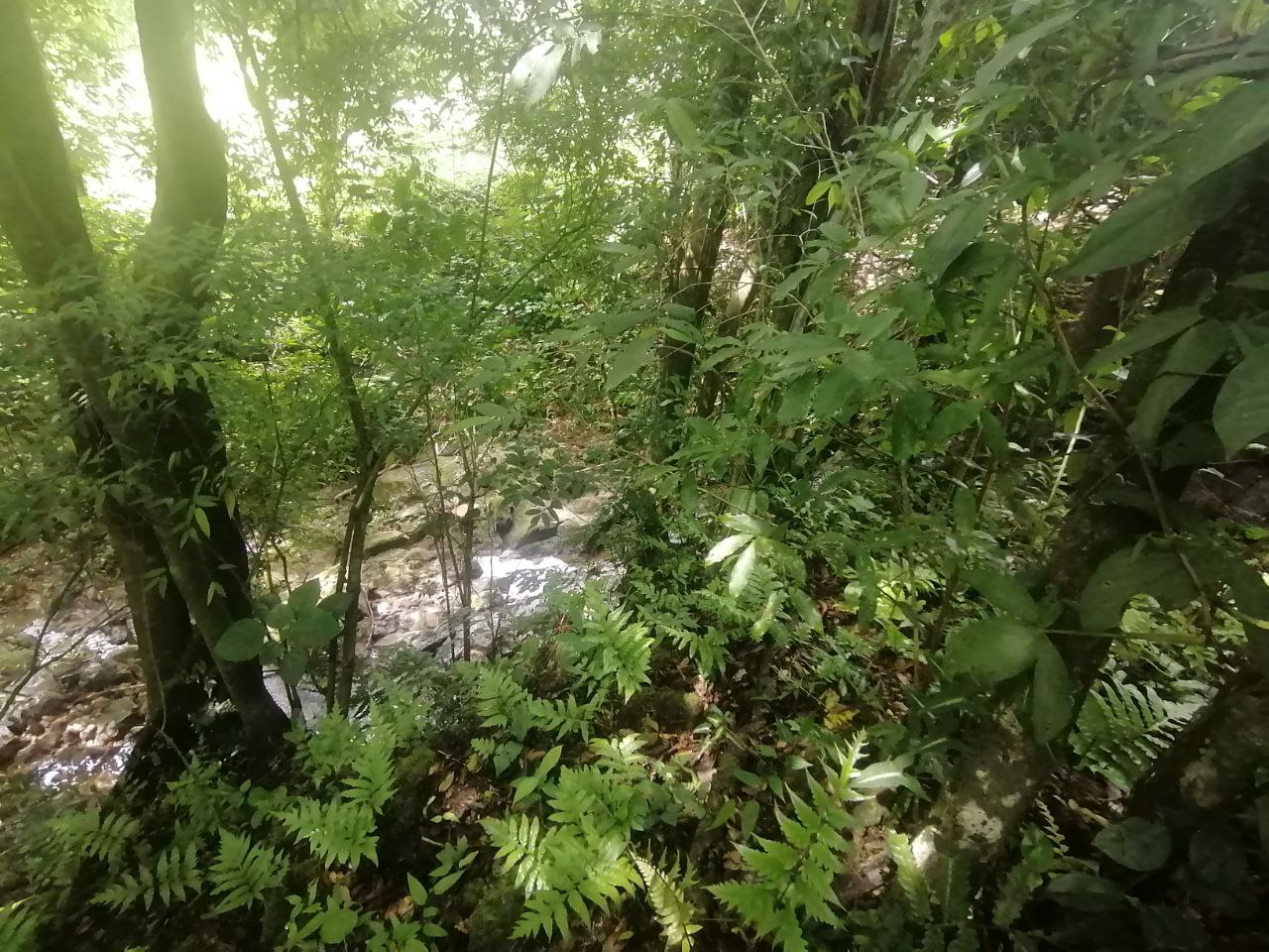 0 bed Land For Sale in Atenas, Alajuela - thumb 13