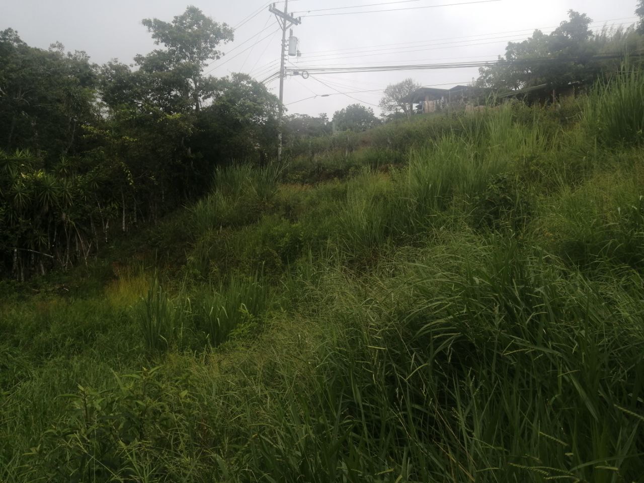 0 bed Land For Sale in Atenas, Alajuela - thumb 3