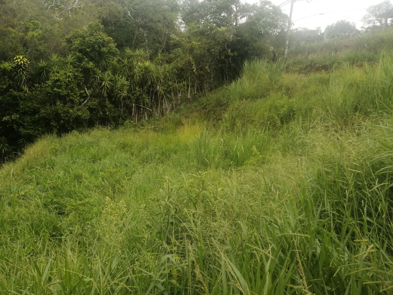 0 bed Land For Sale in Atenas, Alajuela - thumb 2