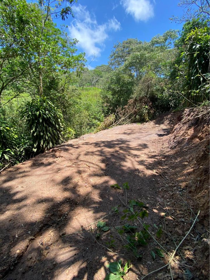 0 bed Land For Sale in San Ramon, Alajuela - thumb 4