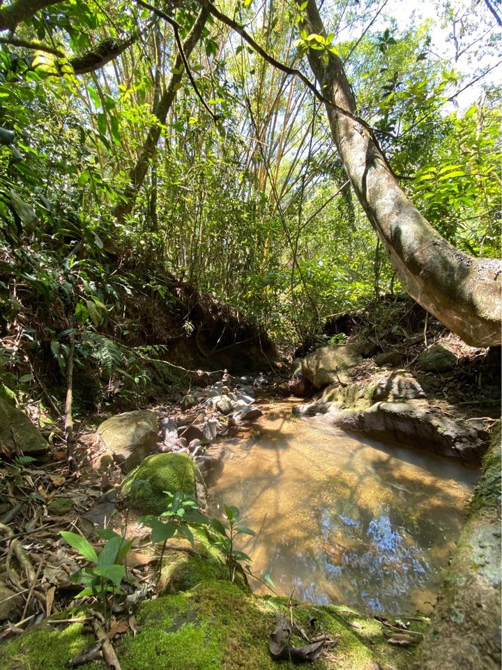 0 bed Land For Sale in San Ramon, Alajuela - thumb 6