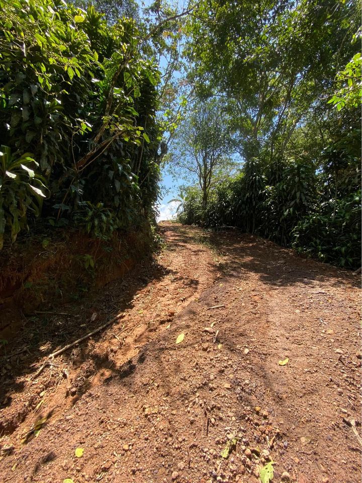 0 bed Land For Sale in San Ramon, Alajuela - thumb 5