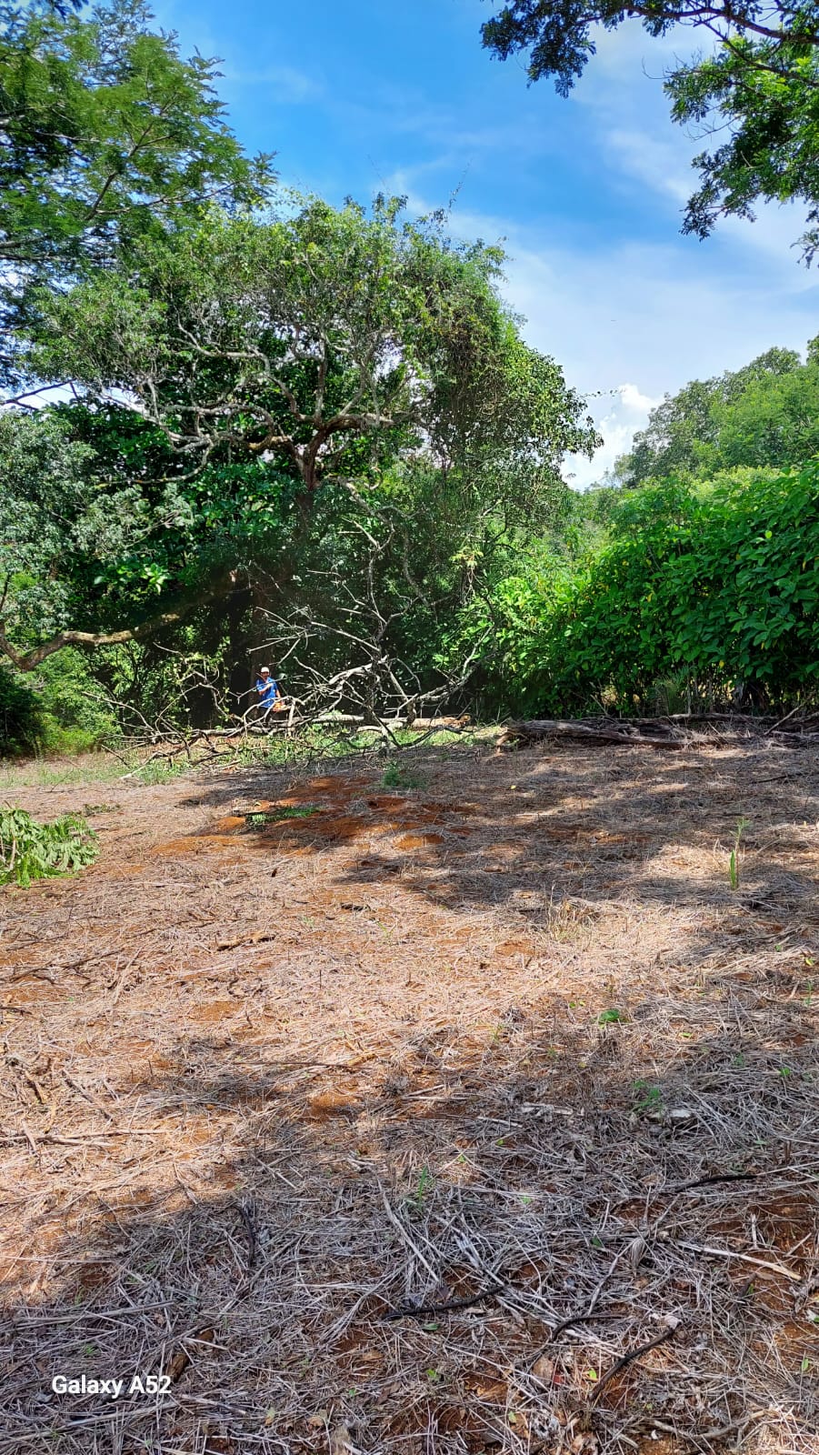 0 bed Land For Sale in San Ramon, Alajuela - thumb 1