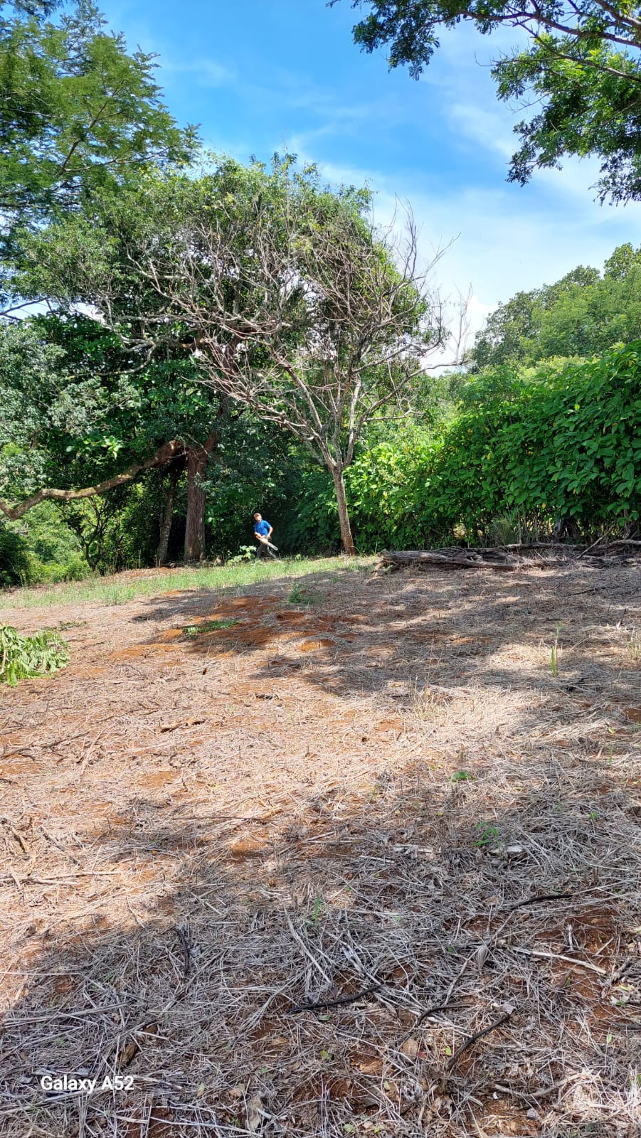 0 bed Land For Sale in San Ramon, Alajuela - thumb 9