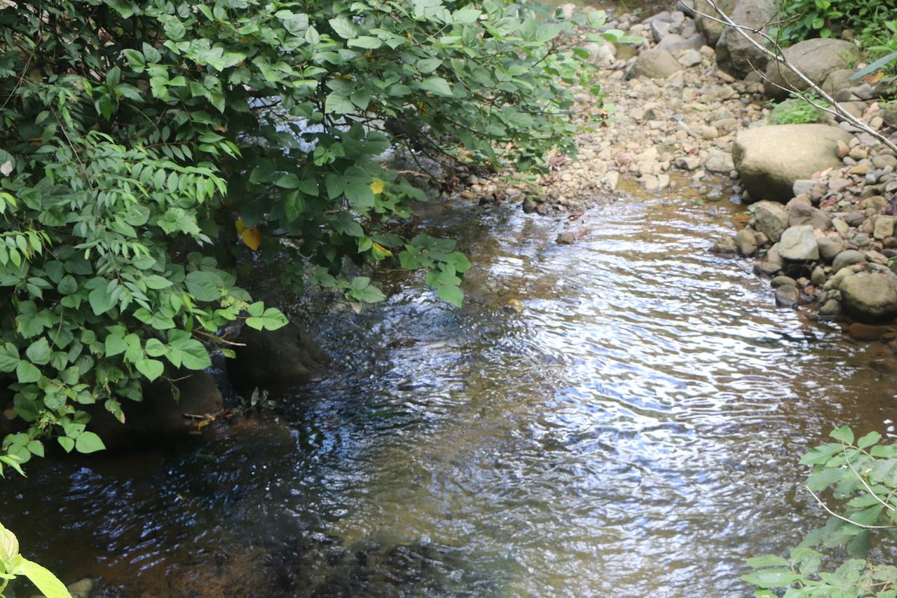 0 bed Land For Sale in Ojochal, Puntarenas - thumb 11