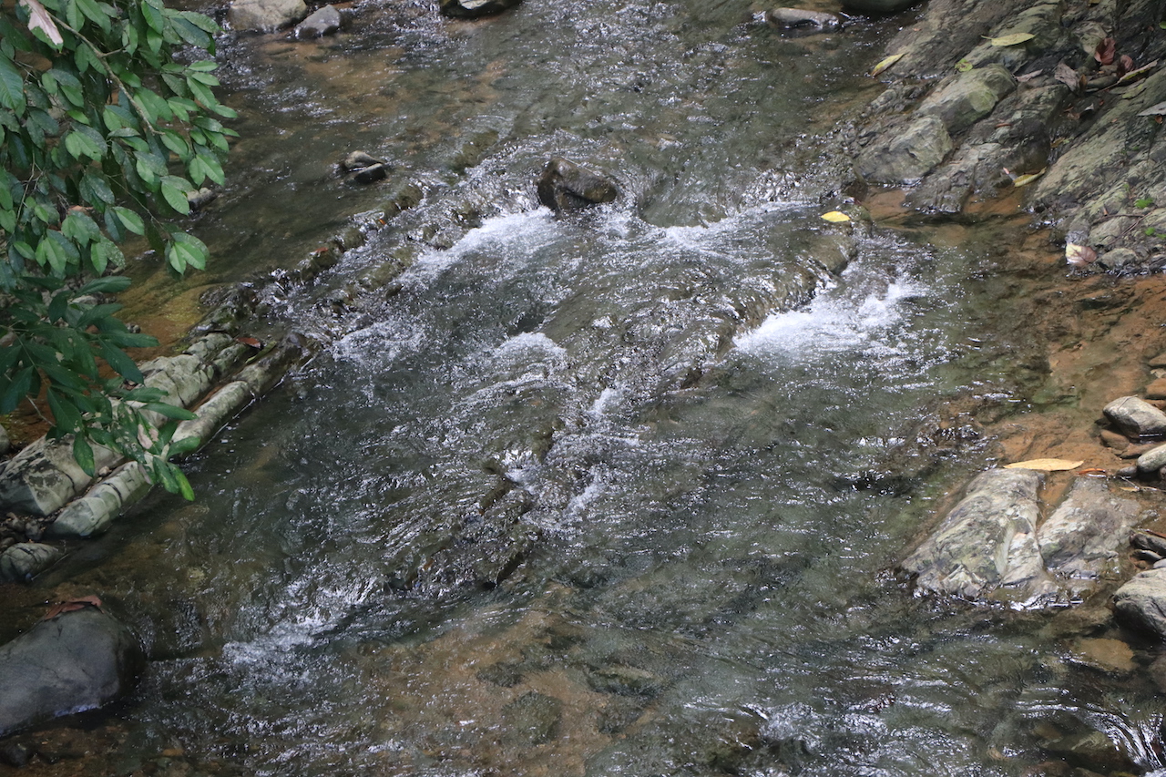 0 bed Land For Sale in Ojochal, Puntarenas - thumb 10