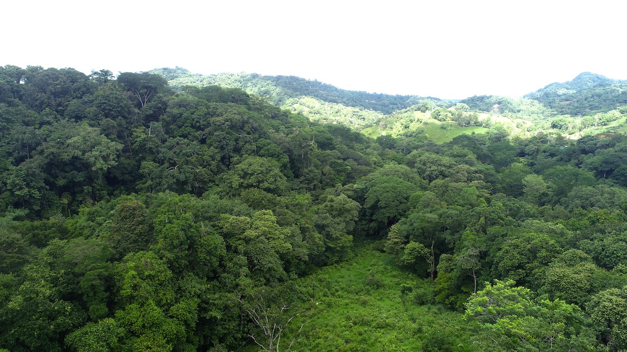 0 bed Land For Sale in Ojochal, Puntarenas - thumb 6