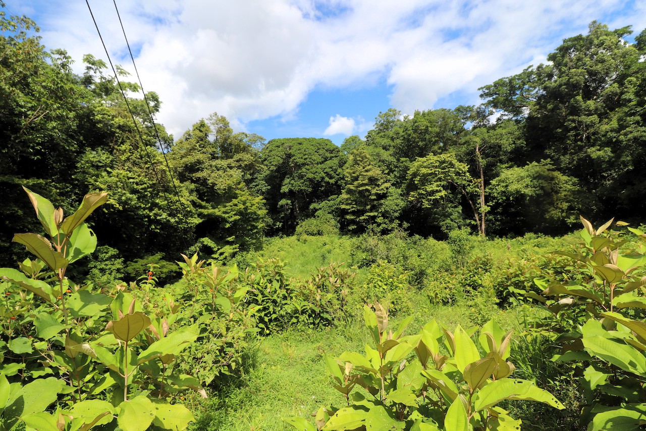 0 bed Land For Sale in Ojochal, Puntarenas - thumb 1
