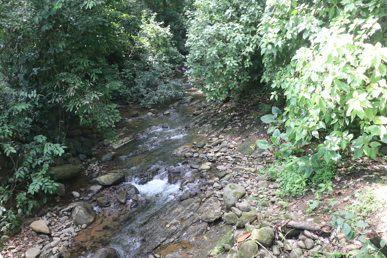 0 bed Land For Sale in Ojochal, Puntarenas - thumb 8