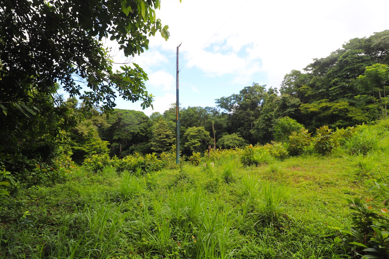0 bed Land For Sale in Ojochal, Puntarenas - thumb 3