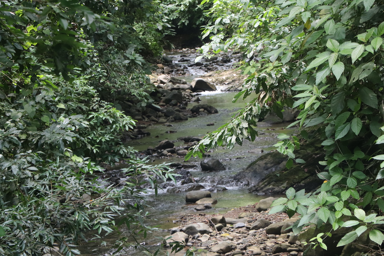 0 bed Land For Sale in Ojochal, Puntarenas - thumb 9