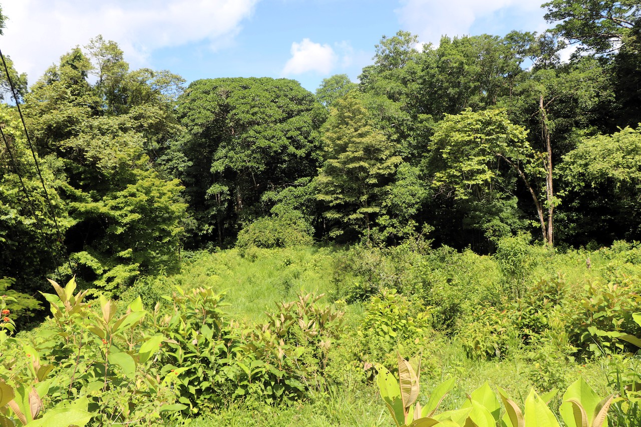0 bed Land For Sale in Ojochal, Puntarenas - thumb 2