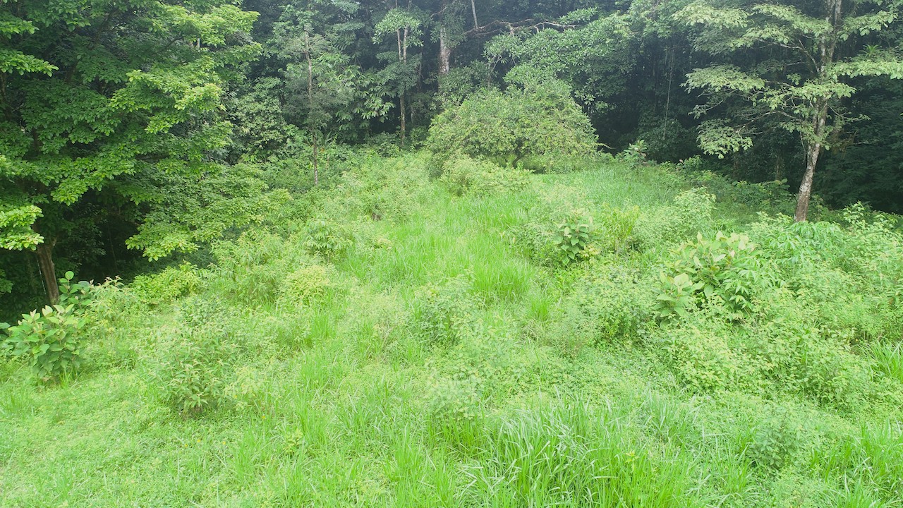 0 bed Land For Sale in Ojochal, Puntarenas - thumb 4