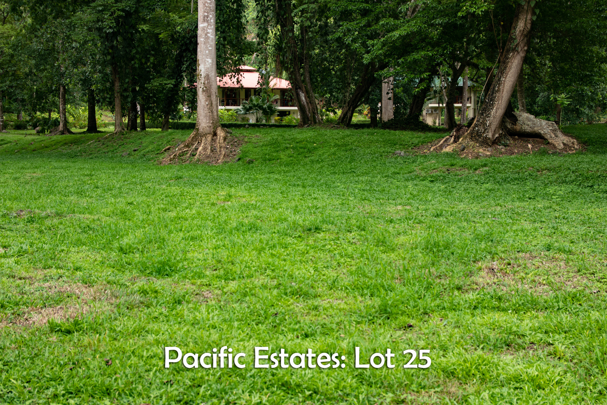 0 bed Land For Sale in Ojochal, Puntarenas - thumb 1
