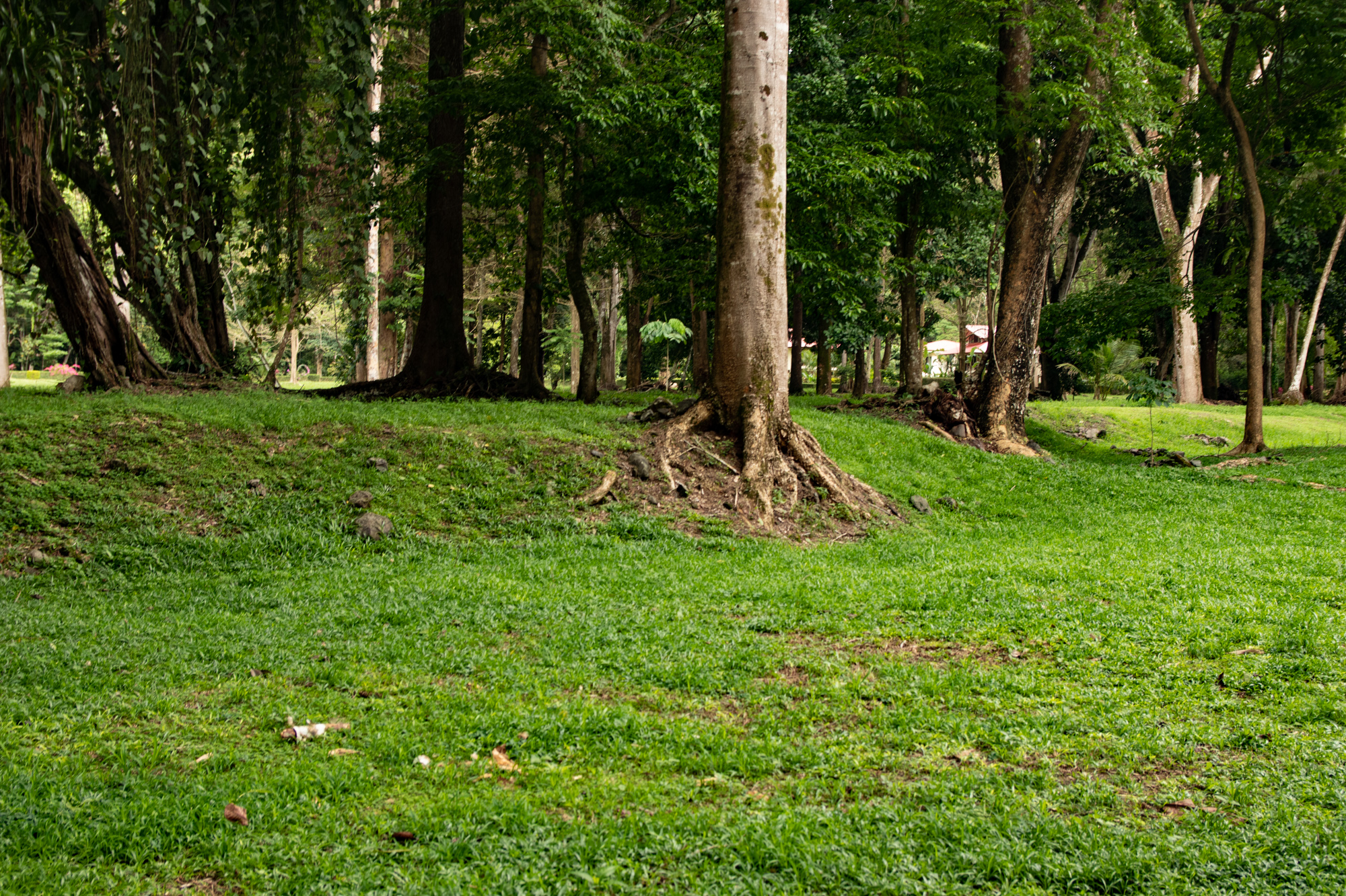 0 bed Land For Sale in Ojochal, Puntarenas - thumb 3