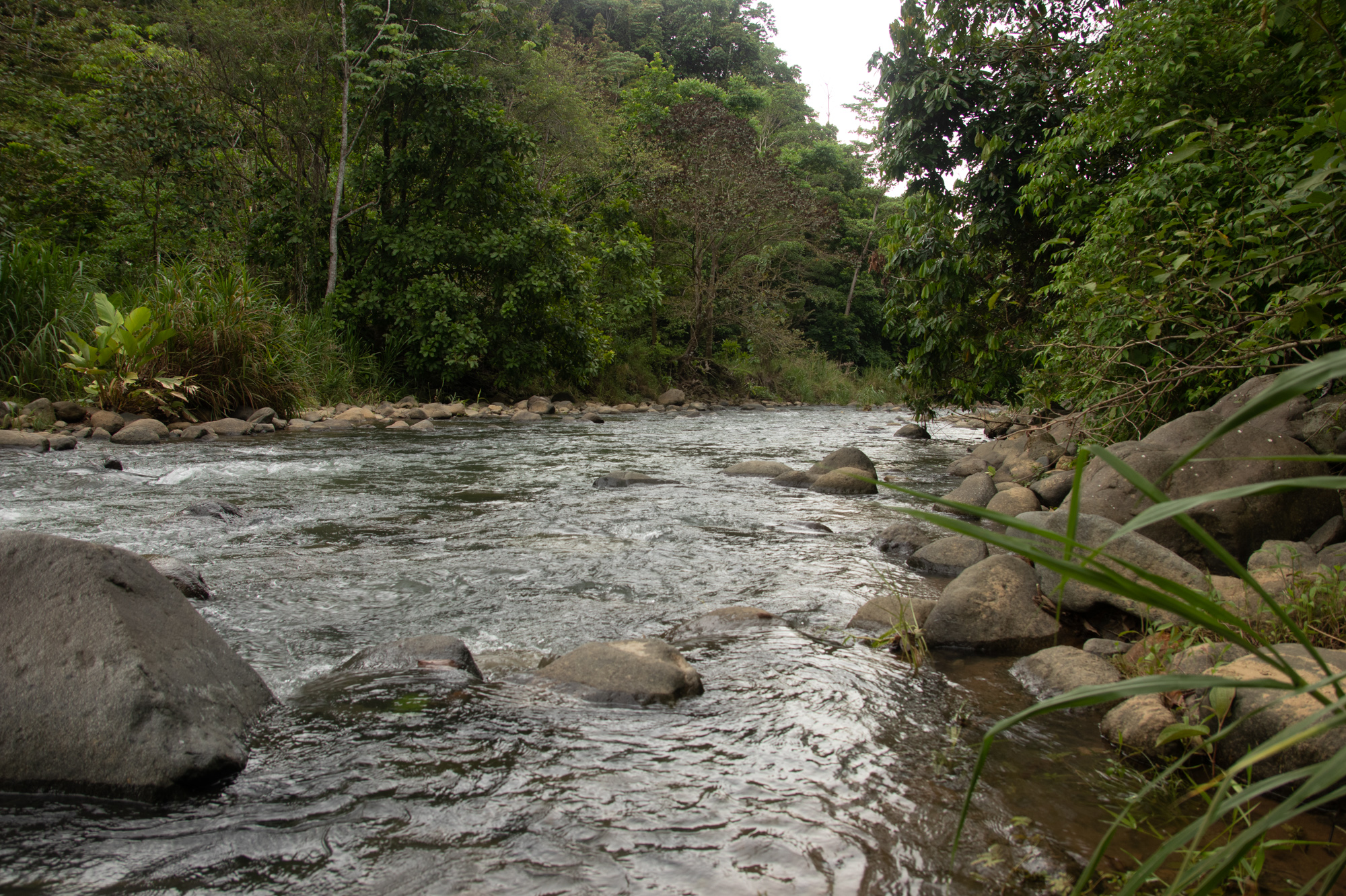 0 bed Land For Sale in Ojochal, Puntarenas - thumb 8