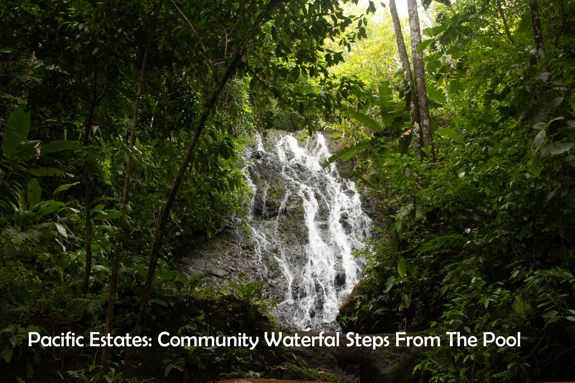 0 bed Land For Sale in Ojochal, Puntarenas - thumb 7