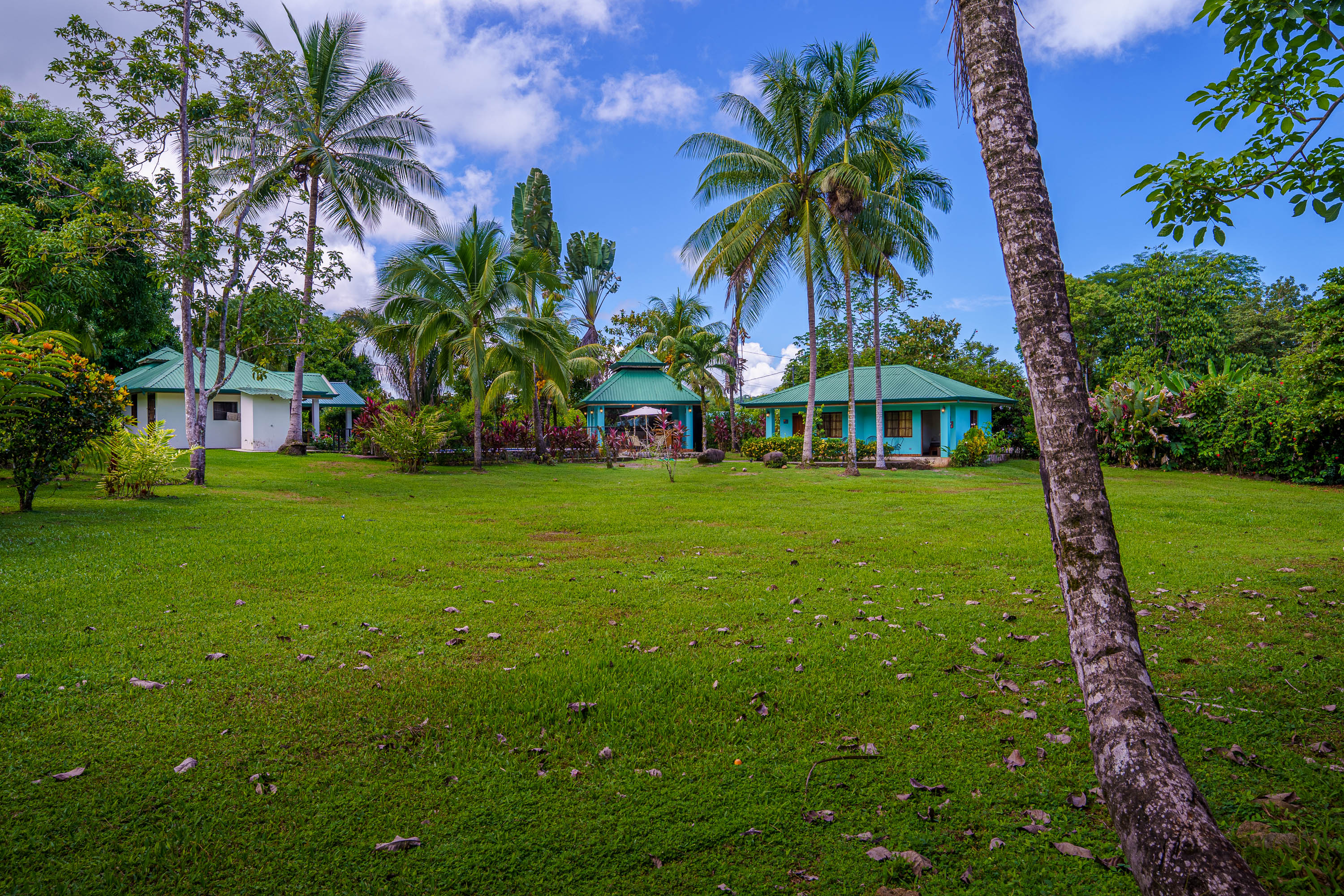 5 bed Single Family Homes For Sale in Ojochal, Puntarenas - thumb 4