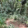  - Brand New Home and 2 Guest Houses with Breathtaking Views and Waterfall