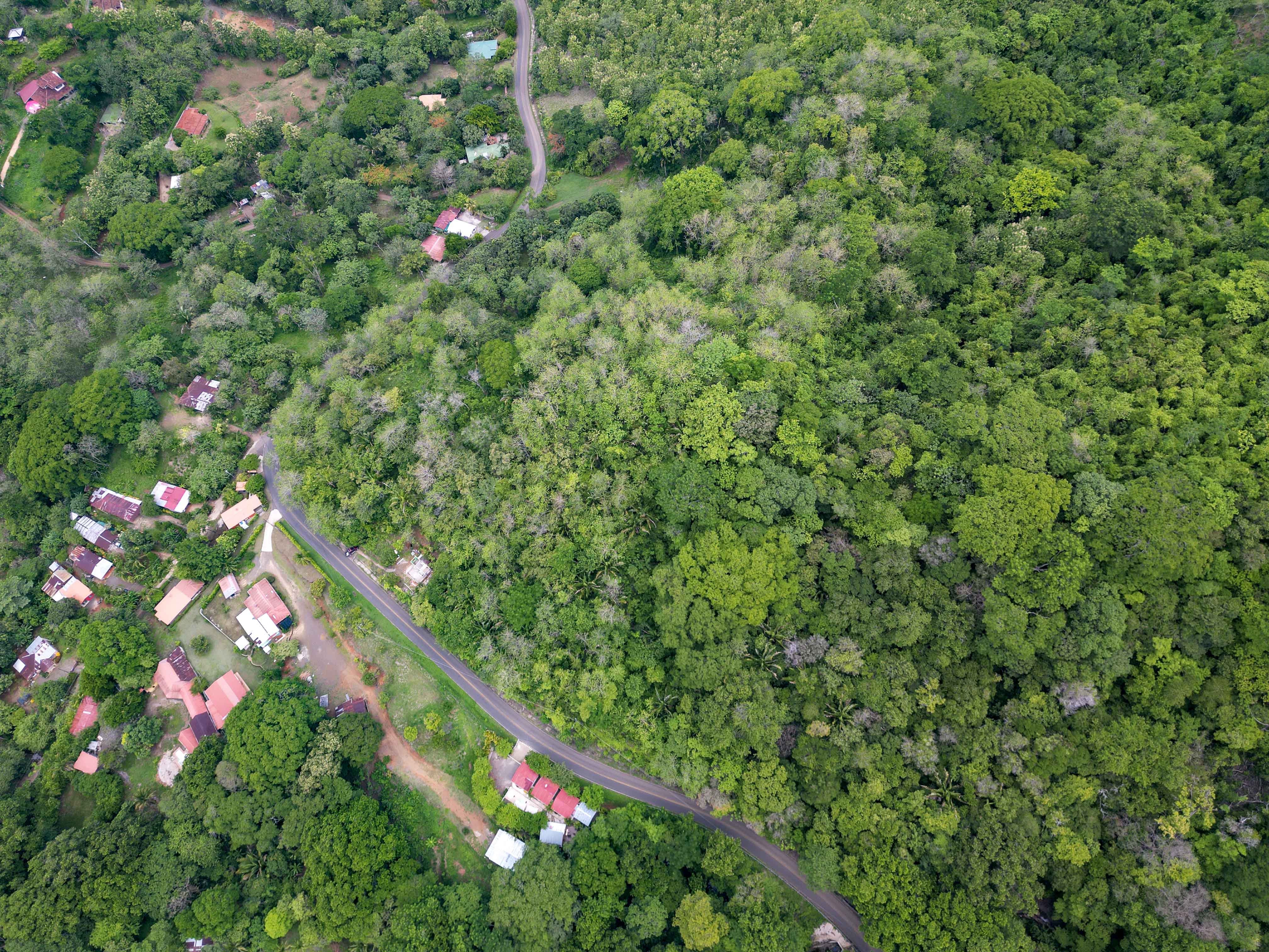 0 bed Land For Sale in Playa Carrillo, Guanacaste - thumb 7
