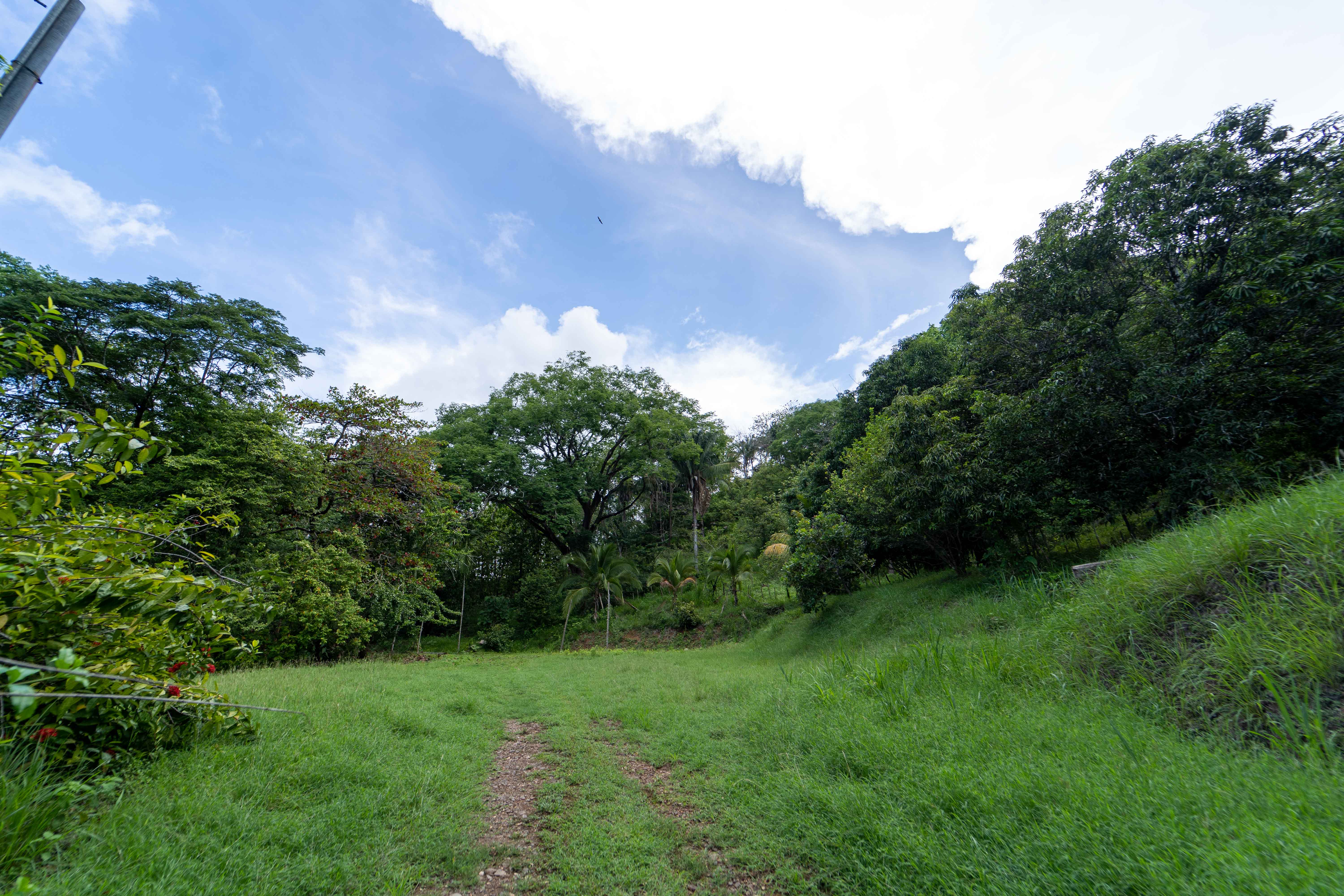 0 bed Land For Sale in Playa Carrillo, Guanacaste - thumb 3
