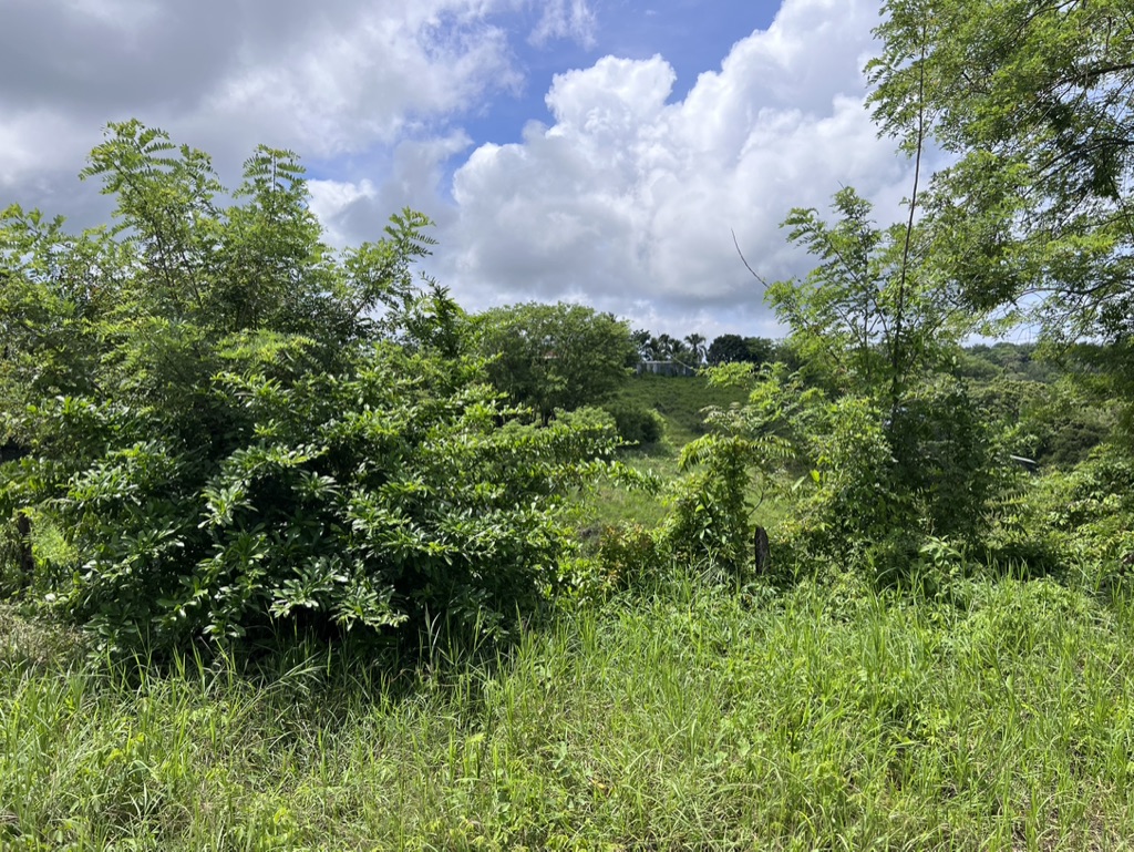 0 bed Land For Sale in Cobano, Puntarenas - thumb 8