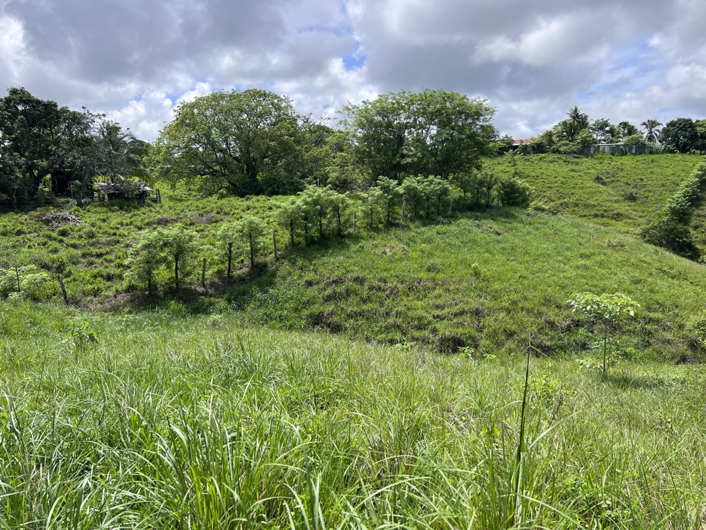 0 bed Land For Sale in Cobano, Puntarenas - thumb 7