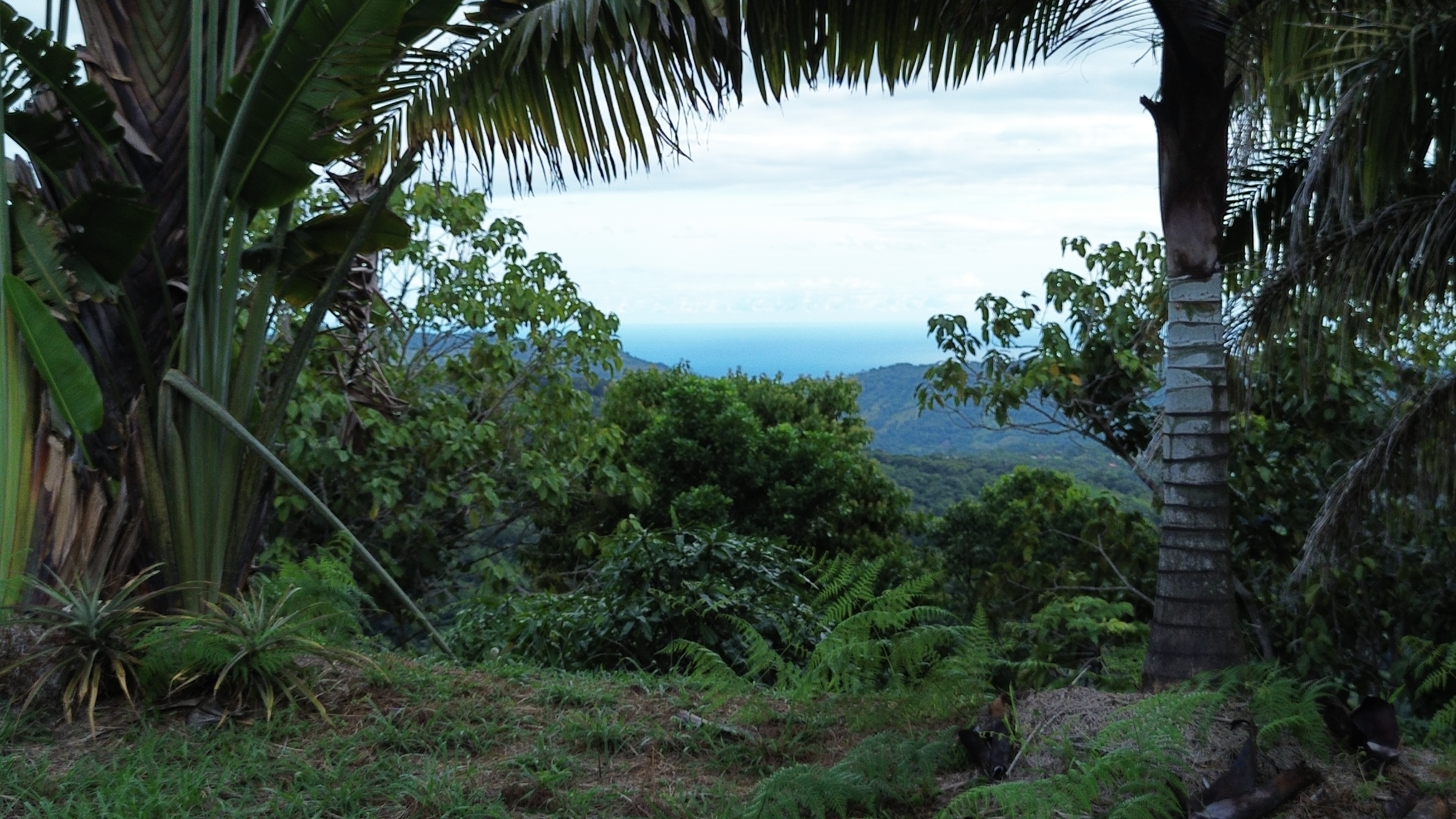 0 bed Land For Sale in Perez Zeledon, San Jose - thumb 9