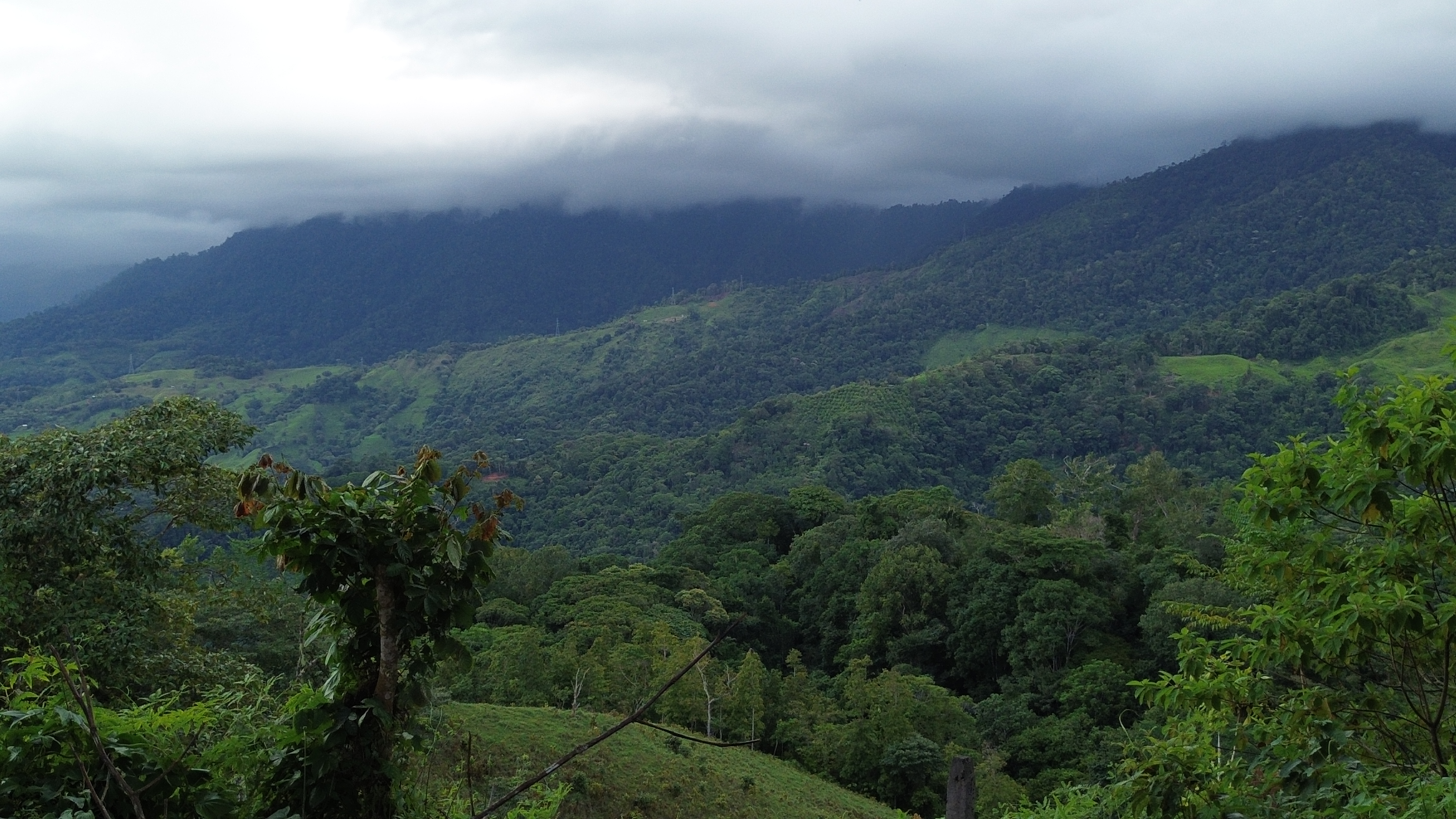 0 bed Land For Sale in Perez Zeledon, San Jose - thumb 8