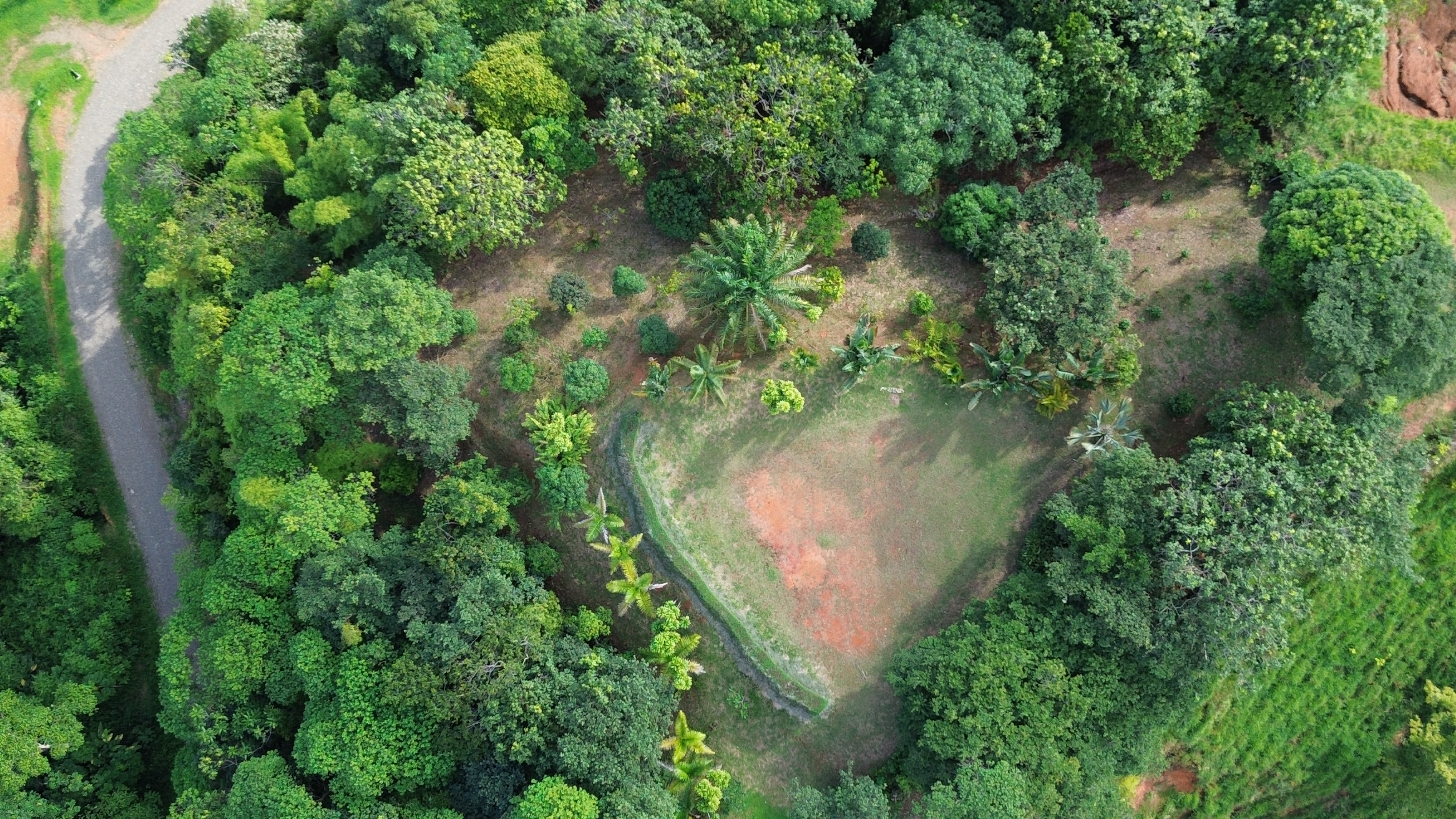 0 bed Land For Sale in Perez Zeledon, San Jose - thumb 13