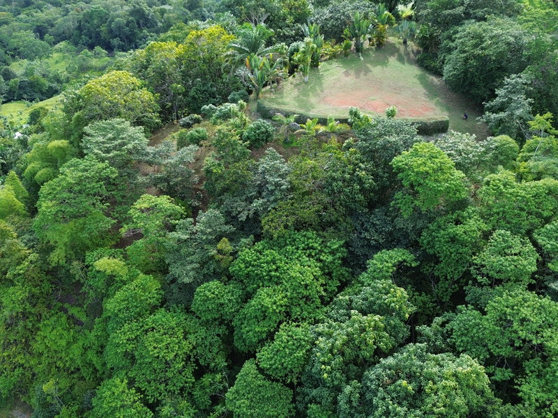 0 bed Land For Sale in Perez Zeledon, San Jose - thumb 2