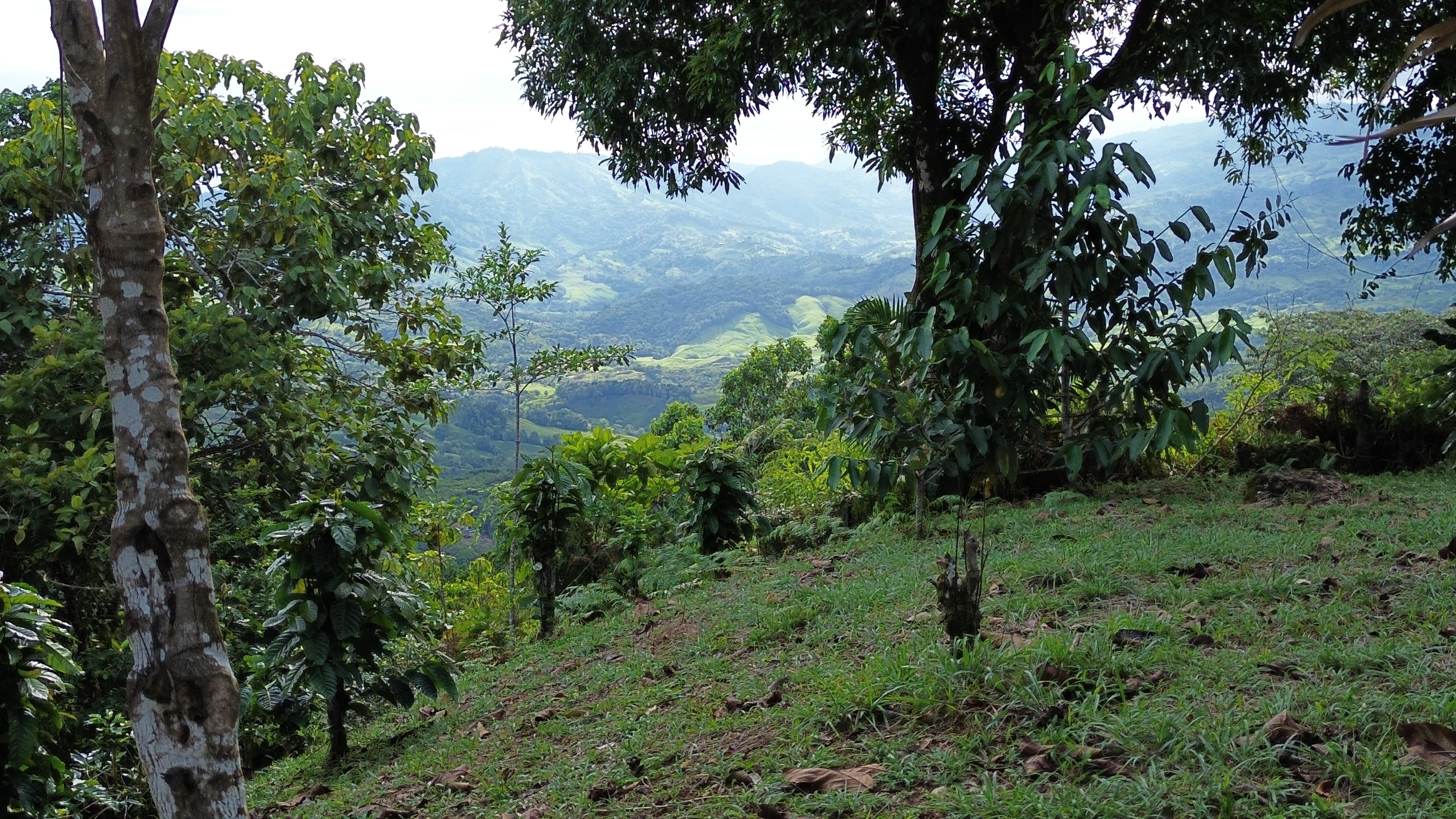 0 bed Land For Sale in Perez Zeledon, San Jose - thumb 5