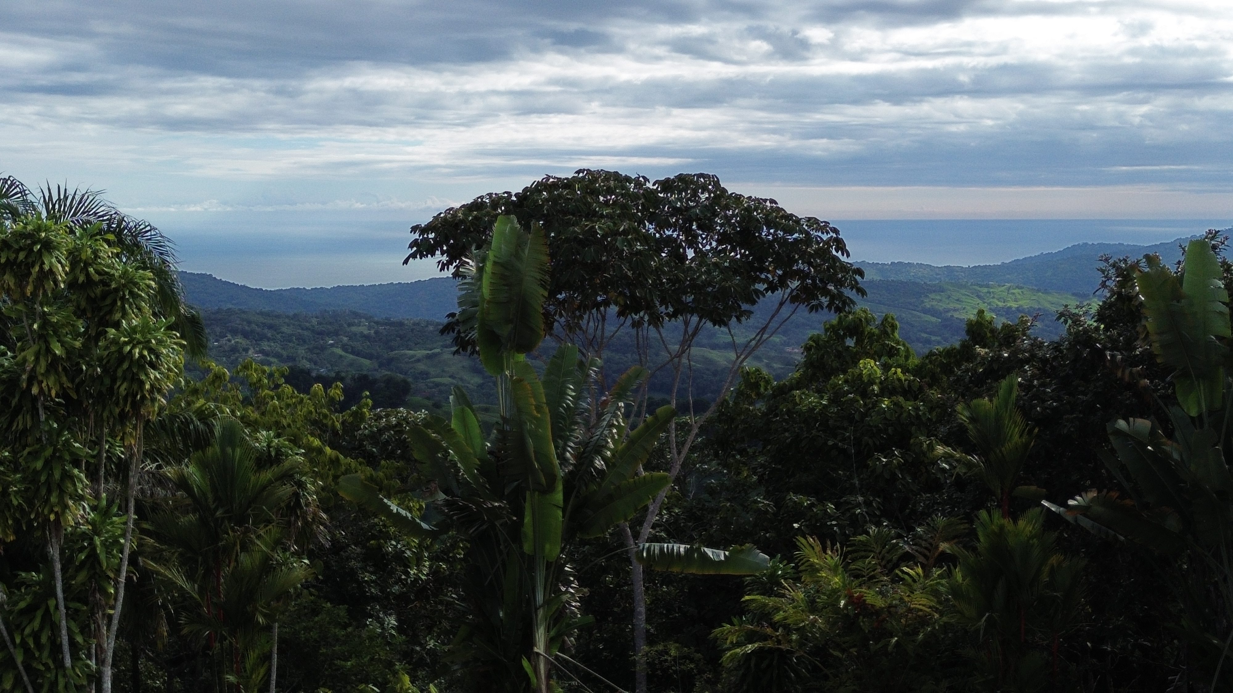 0 bed Land For Sale in Perez Zeledon, San Jose - thumb 4