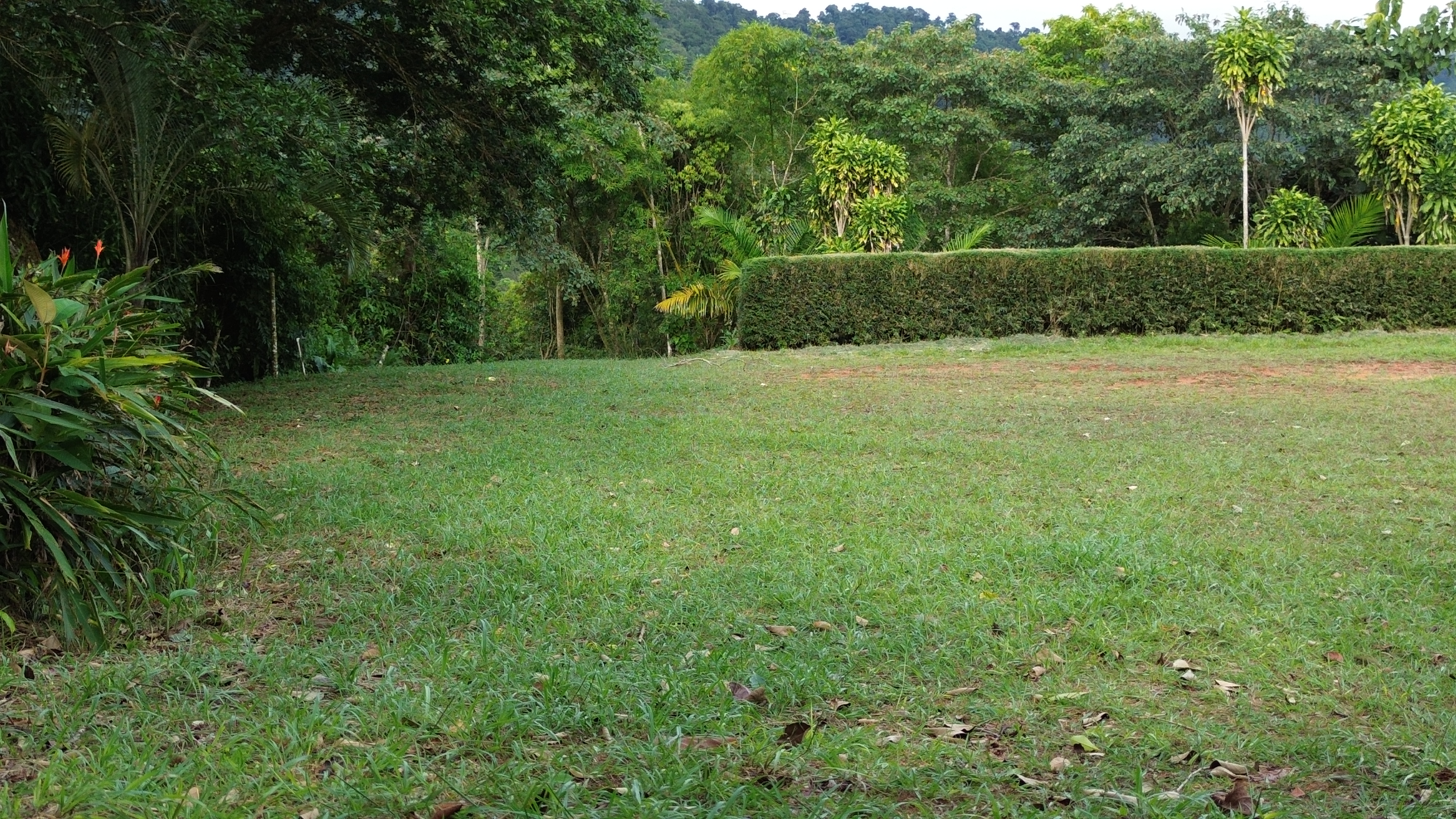 0 bed Land For Sale in Perez Zeledon, San Jose - thumb 7