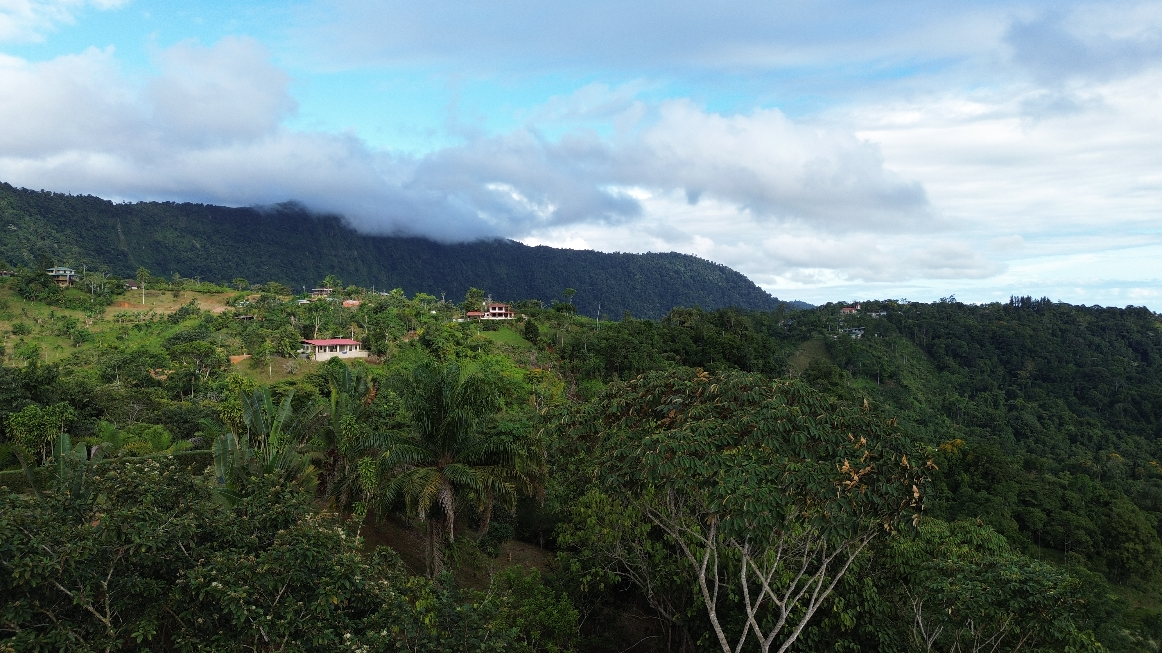 0 bed Land For Sale in Perez Zeledon, San Jose - thumb 14