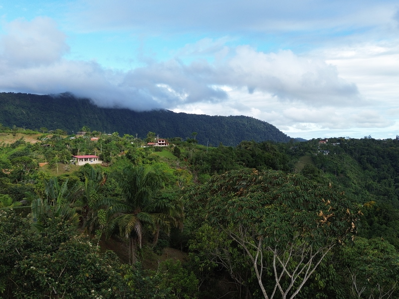 0 bed Land For Sale in Perez Zeledon, San Jose - thumb 14