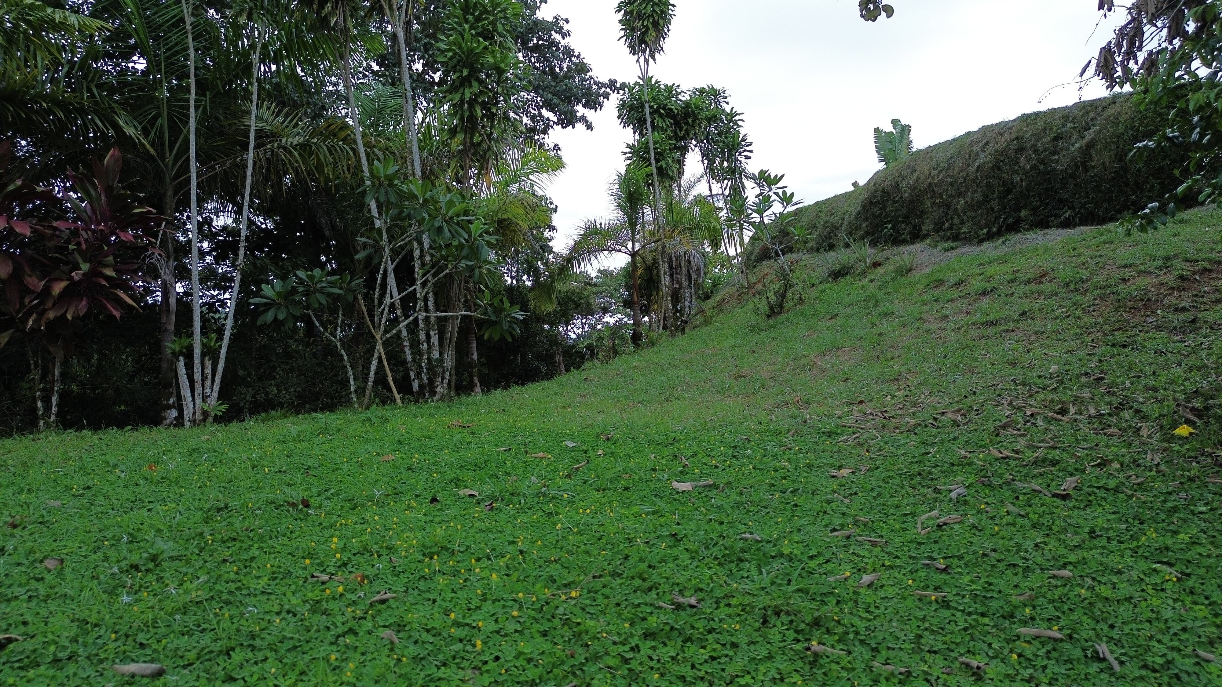 0 bed Land For Sale in Perez Zeledon, San Jose - thumb 12