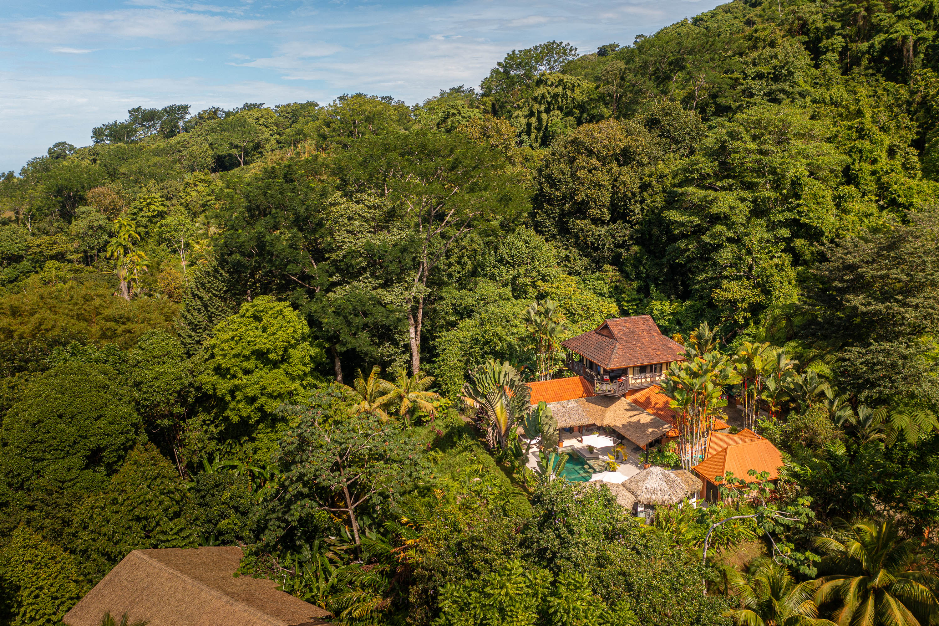 3 bed Single Family Homes For Sale in Ojochal, Puntarenas - thumb 1