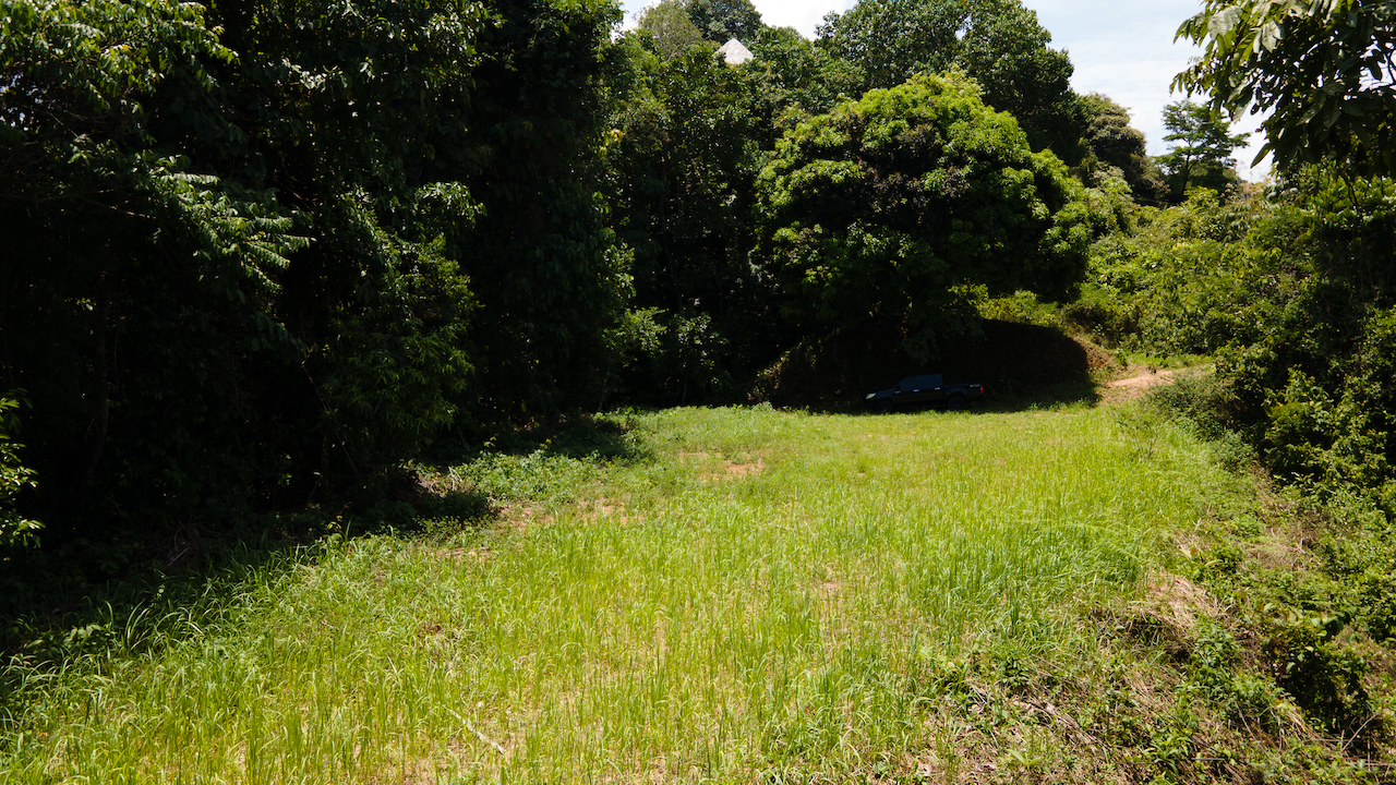 0 bed Land For Sale in Ojochal, Puntarenas - thumb 7